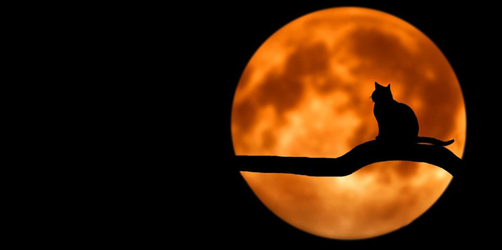 La luna en cada signo del zodiaco, su influencia - Elhoroscopodehoy.eu